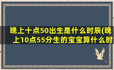 晚上十点50出生是什么时辰(晚上10点55分生的宝宝算什么时 🐺 辰)